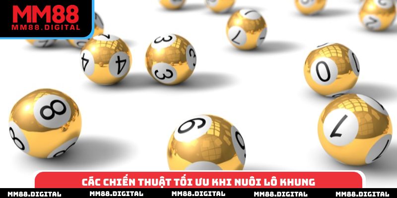 Các chiến thuật tối ưu khi nuôi lô khung