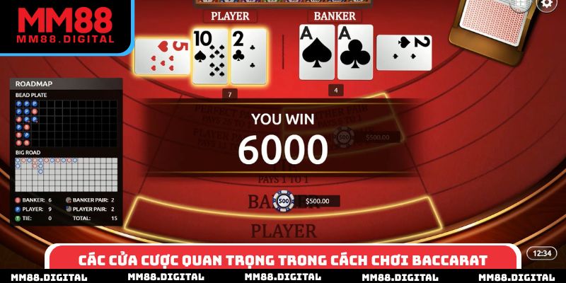 Các cửa cược quan trọng trong cách chơi baccarat