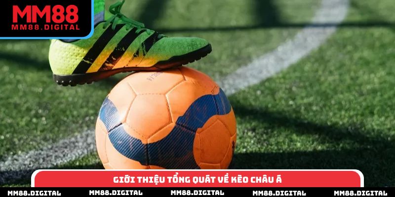 Giới thiệu tổng quát về kèo châu Á