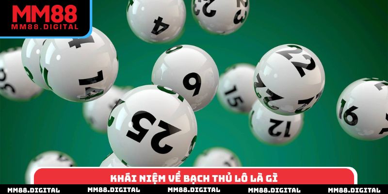 Khái niệm về bạch thủ lô là gì
