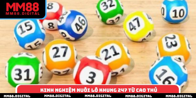 Kinh nghiệm nuôi lô khung 247 từ cao thủ