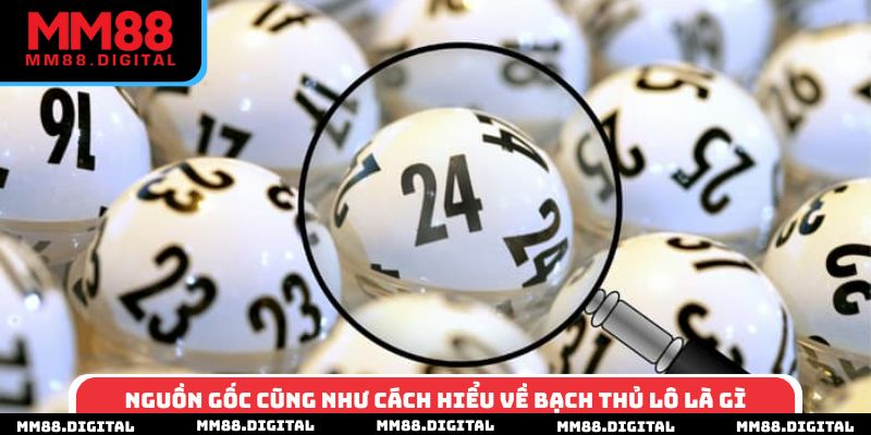 Nguồn gốc cũng như cách hiểu về bạch thủ lô là gì