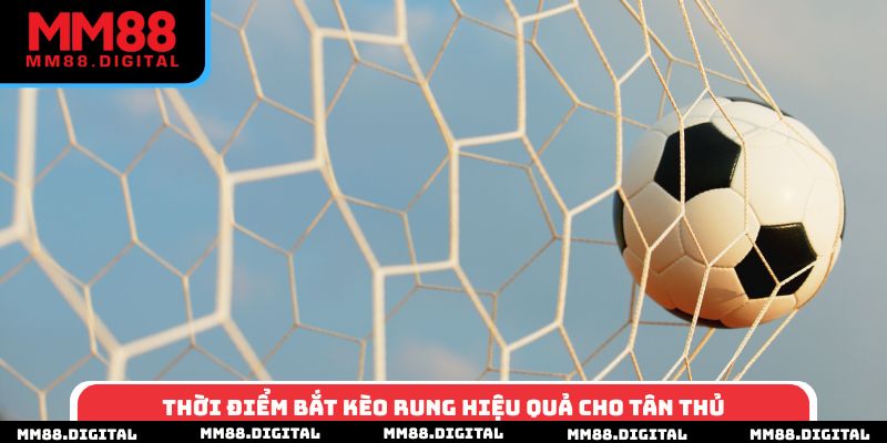 Thời điểm bắt kèo rung hiệu quả cho tân thủ