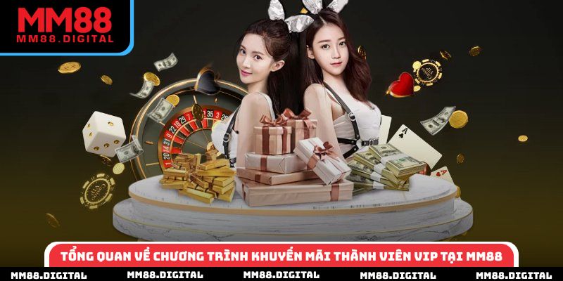 Tổng quan về chương trình khuyến mãi thành viên VIP tại MM88